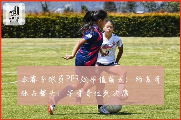 本赛季球员PER效率值前五：约基奇独占鳌头，字母哥位列次席