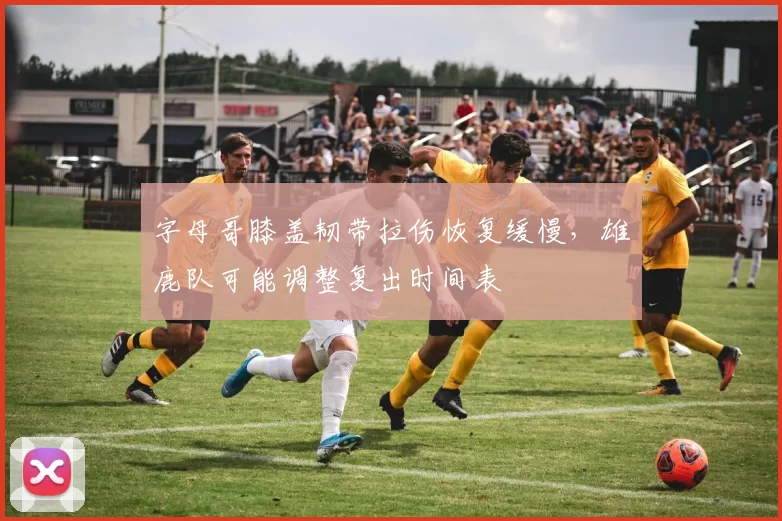 字母哥膝盖韧带拉伤恢复缓慢,雄鹿队可能调整复出时间表