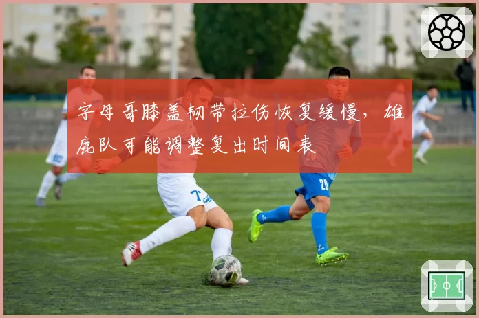 字母哥膝盖韧带拉伤恢复缓慢，雄鹿队可能调整复出时间表
